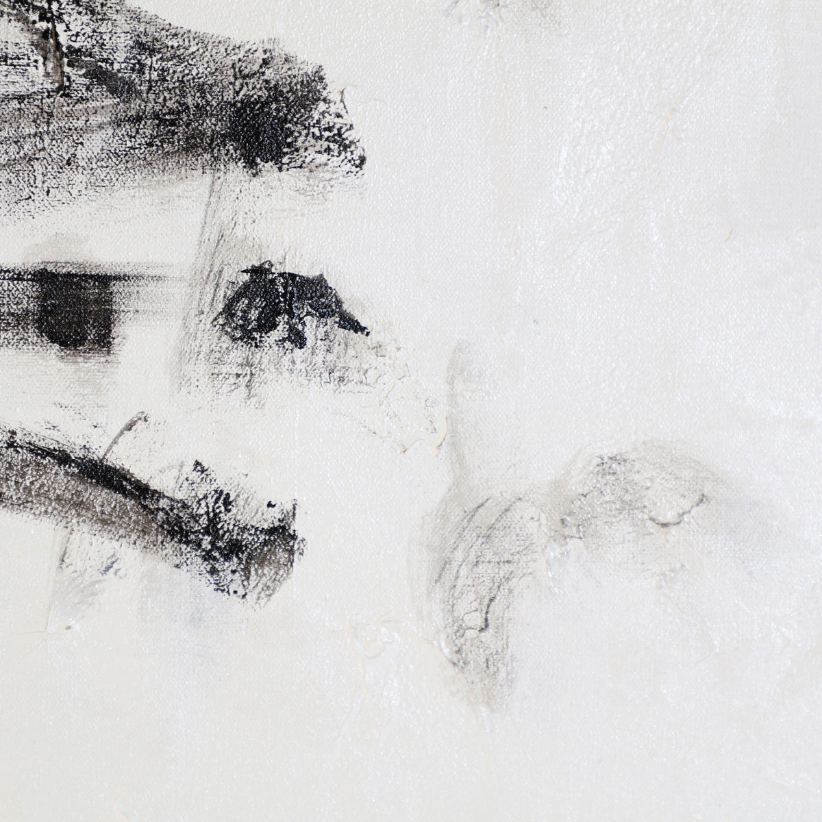 Lienzo Cuadro blanco y negro